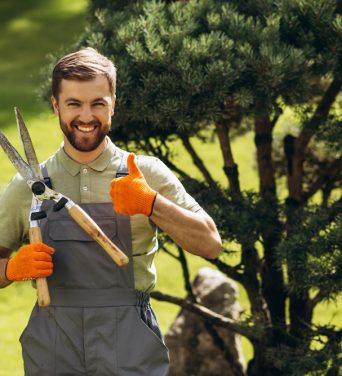 garden-worker-trimming-trees-with-scissors-yard